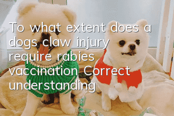 To what extent does a dog's claw injury require rabies vaccination? Correct understanding of rabies