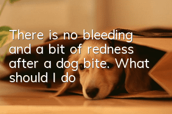 There is no bleeding and a bit of redness after a dog bite. What should I do?