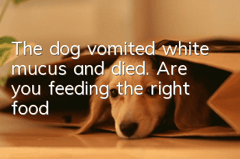 The dog vomited white mucus and died. Are you feeding the right food?