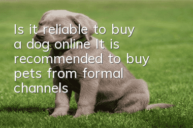 Is it reliable to buy a dog online? It is recommended to buy pets from formal channels