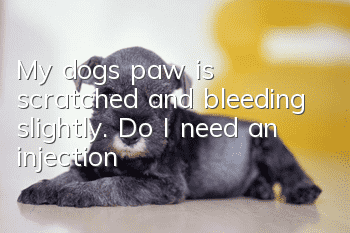 My dog’s paw is scratched and bleeding slightly. Do I need an injection?