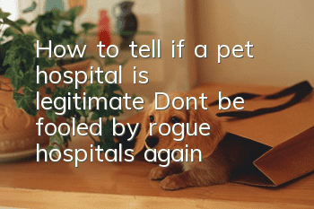 How to tell if a pet hospital is legitimate? Don’t be fooled by rogue hospitals again!