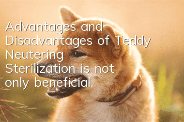 Advantages and Disadvantages of Teddy Neutering Sterilization is not only beneficial.