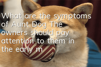 What are the symptoms of Aunt Dog? The owners should pay attention to them in the early, middle and late stages!
