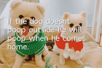 If the dog doesn’t poop outside, he will poop when he comes home.