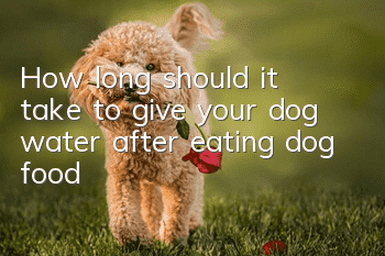 How long should it take to give your dog water after eating dog food?