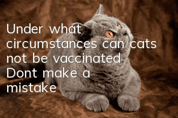 Under what circumstances can cats not be vaccinated? Don’t make a mistake!