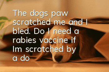 The dog's paw scratched me and I bled. Do I need a rabies vaccine if I'm scratched by a dog?