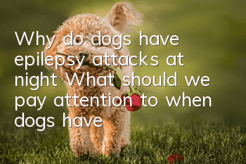 Why do dogs have epilepsy attacks at night? What should we pay attention to when dogs have epilepsy attacks?