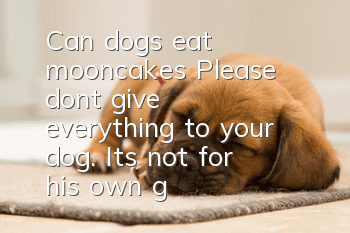 Can dogs eat mooncakes? Please don’t give everything to your dog. It’s not for his own good!