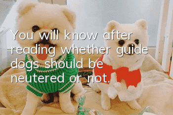 You will know after reading whether guide dogs should be neutered or not.