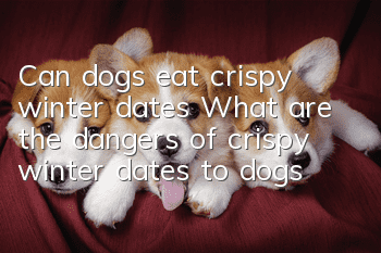 Can dogs eat crispy winter dates? What are the dangers of crispy winter dates to dogs?