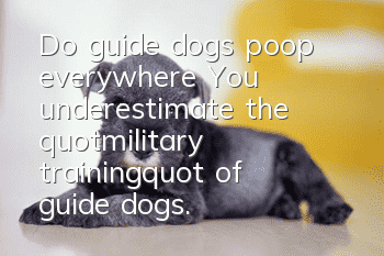 Do guide dogs poop everywhere? You underestimate the "military training" of guide dogs.