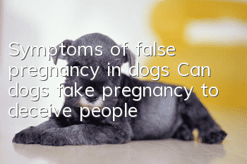 Symptoms of false pregnancy in dogs Can dogs fake pregnancy to deceive people?