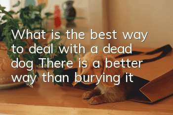 What is the best way to deal with a dead dog? There is a better way than burying it!