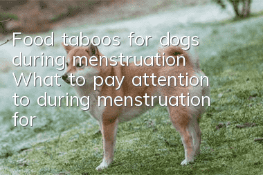 Food taboos for dogs during menstruation What to pay attention to during menstruation for dogs