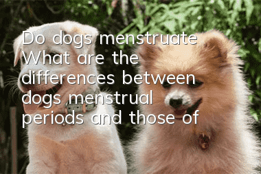 Do dogs menstruate? What are the differences between dogs’ menstrual periods and those of humans?