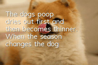 The dog's poop dries out first and then becomes thinner. When the season changes, the dog needs to be properly kept warm.