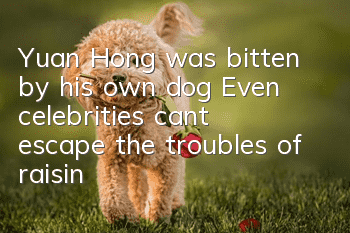 Yuan Hong was bitten by his own dog? Even celebrities can’t escape the troubles of raising a dog!