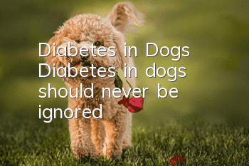Diabetes in Dogs Diabetes in dogs should never be ignored!