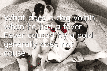 What does a dog vomit when he has a fever? Fever caused by a cold generally does not cause vomiting.