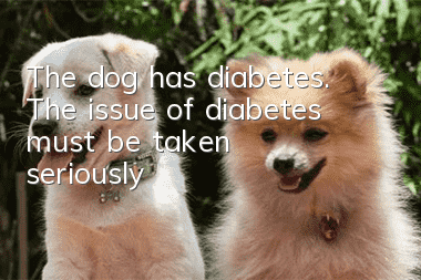 The dog has diabetes. The issue of diabetes must be taken seriously!