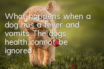 What happens when a dog has a fever and vomits? The dog’s health cannot be ignored