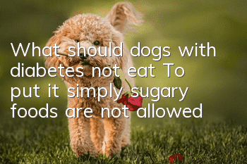 What should dogs with diabetes not eat? To put it simply, sugary foods are not allowed!