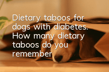 Dietary taboos for dogs with diabetes. How many dietary taboos do you remember?