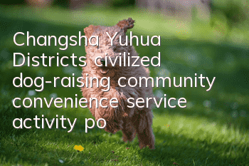 Changsha Yuhua District’s civilized dog-raising community convenience service activity point is released!