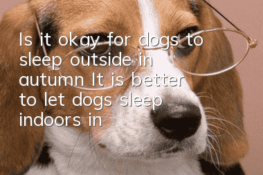 Is it okay for dogs to sleep outside in autumn? It is better to let dogs sleep indoors in a warm place
