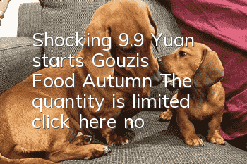 Shocking! 9.9 Yuan starts Gouzi’s “Food Autumn”! The quantity is limited, click here now