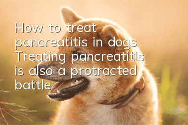 How to treat pancreatitis in dogs? Treating pancreatitis is also a protracted battle!
