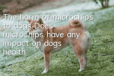 The harm of microchips to dogs Does microchips have any impact on dogs’ health?