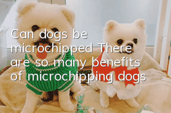 Can dogs be microchipped? There are so many benefits of microchipping dogs