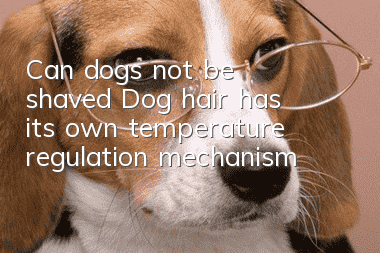 Can dogs not be shaved? Dog hair has its own temperature regulation mechanism