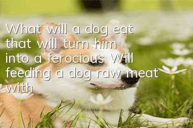 What will a dog eat that will turn him into a ferocious? Will feeding a dog raw meat with blood make him ferocious?