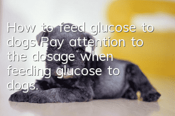 How to feed glucose to dogs? Pay attention to the dosage when feeding glucose to dogs.