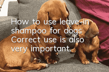 How to use leave-in shampoo for dogs? Correct use is also very important.