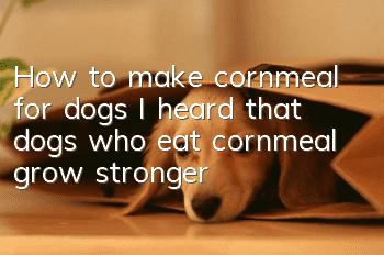 How to make cornmeal for dogs? I heard that dogs who eat cornmeal grow stronger