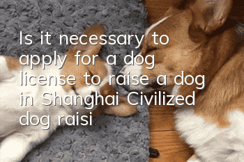 Is it necessary to apply for a dog license to raise a dog in Shanghai? Civilized dog raising starts with applying for a dog license