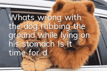 What’s wrong with the dog rubbing the ground while lying on his stomach? Is it time for deworming?