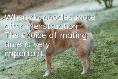 When do poodles mate after menstruation? The choice of mating time is very important.