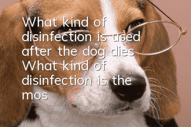 What kind of disinfection is used after the dog dies? What kind of disinfection is the most thorough?