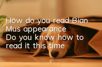How do you read Bian Mu's appearance? Do you know how to read it this time?
