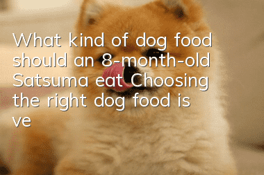 What kind of dog food should an 8-month-old Satsuma eat? Choosing the right dog food is very important