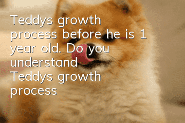 Teddy's growth process before he is 1 year old. Do you understand Teddy's growth process?