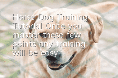 Horse Dog Training Tutorial Once you master these few points, any training will be easy!