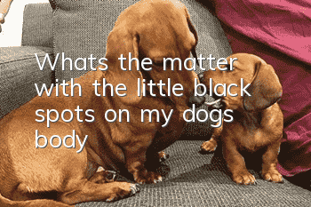 What's the matter with the little black spots on my dog's body?