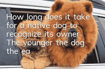 How long does it take for a native dog to recognize its owner? The younger the dog, the easier it is for it to recognize its owner